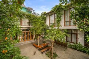 Chụp Ảnh Quang Cao Forest Tag Homestay I Thua Thien Hue